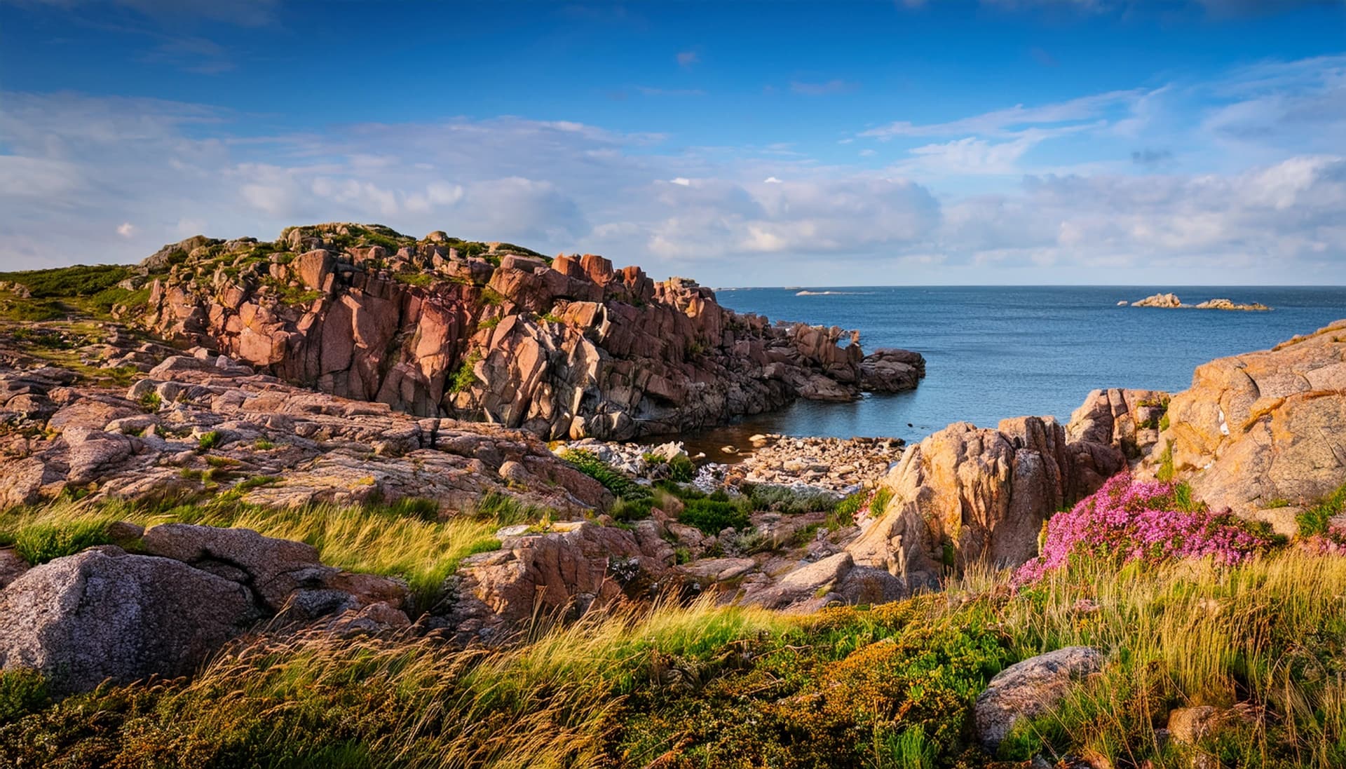 landscape at kullaberg nature reserve in sweden