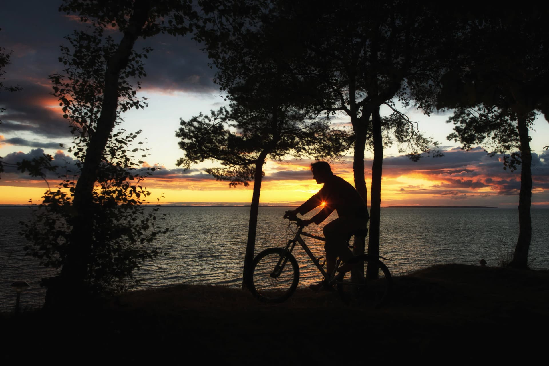 Biking by night