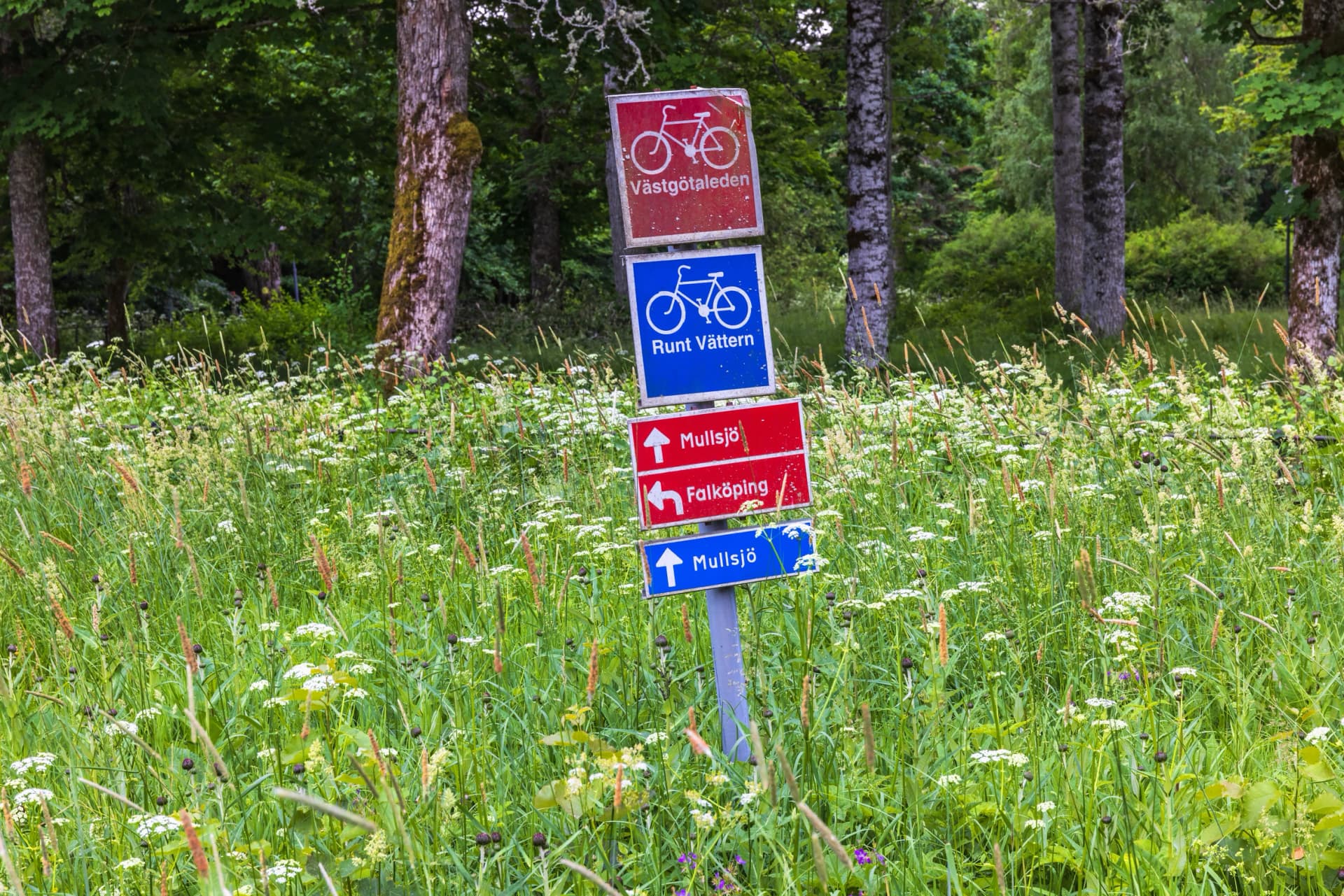Bicycle trail signs on a flowering meadow