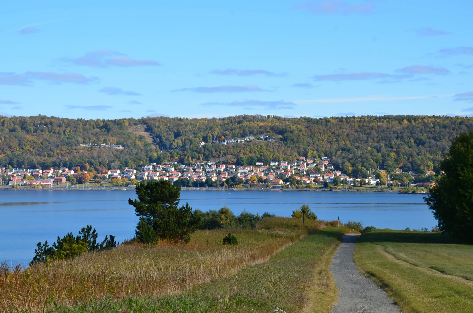 Landscape