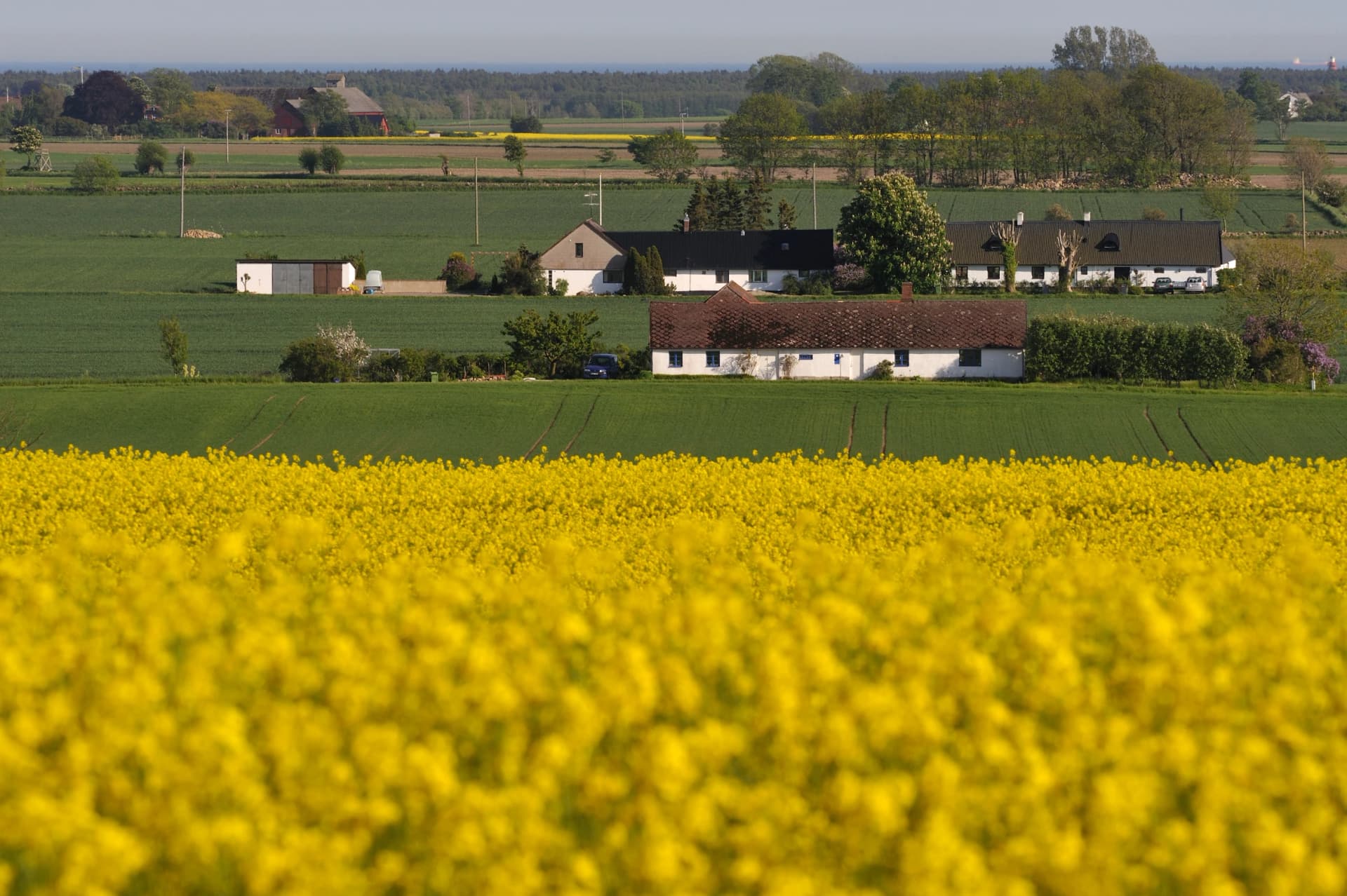 Agricultural district with small farms in Österlen,Sweden