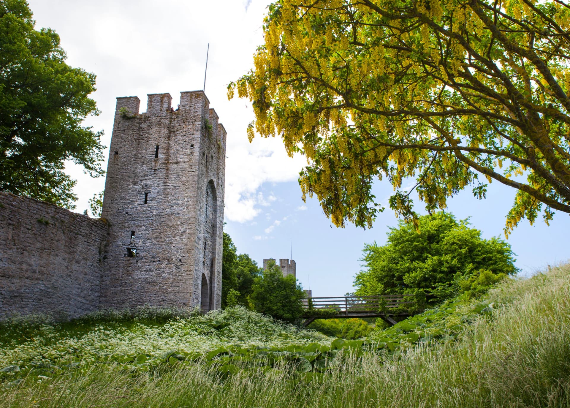 Visby town sweden Scandinavia, Gotland, Northern Europe