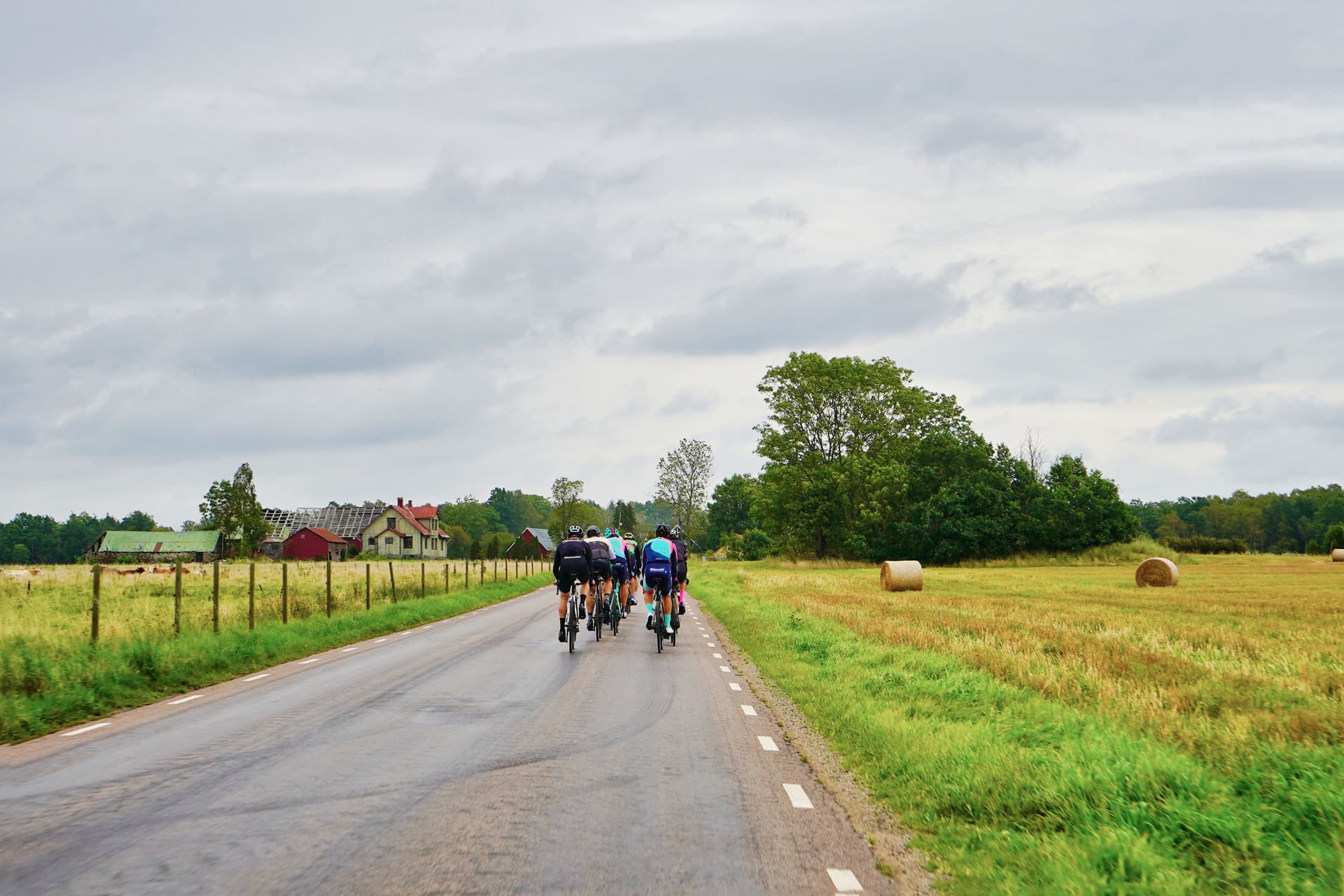 Cyclists riding on rural asphalt road through farmland with hay bales