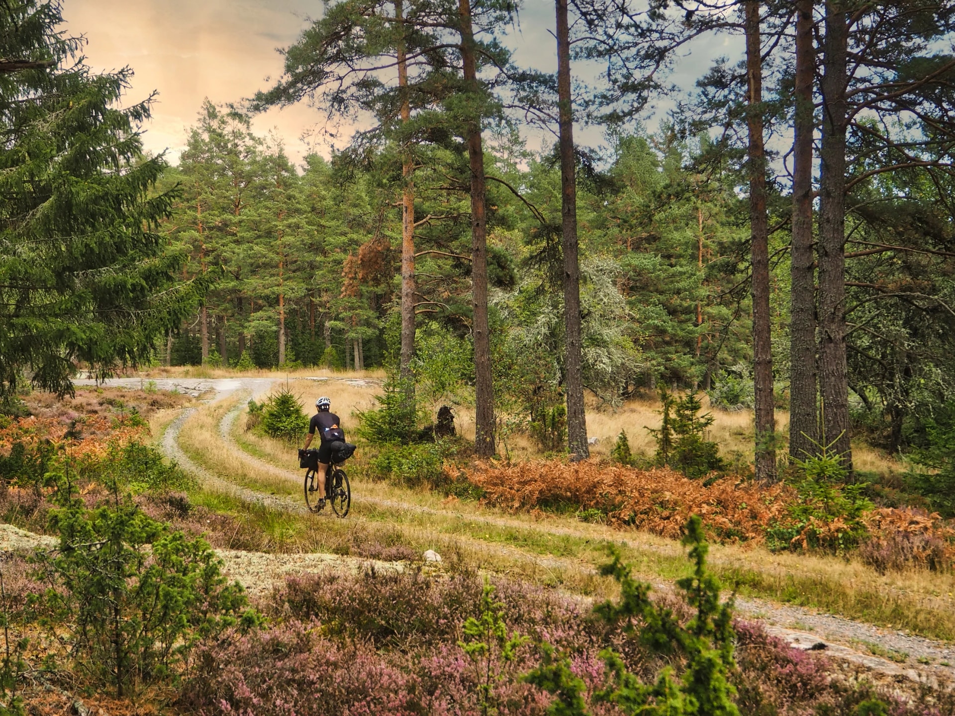 Vänerleden Cykeltur