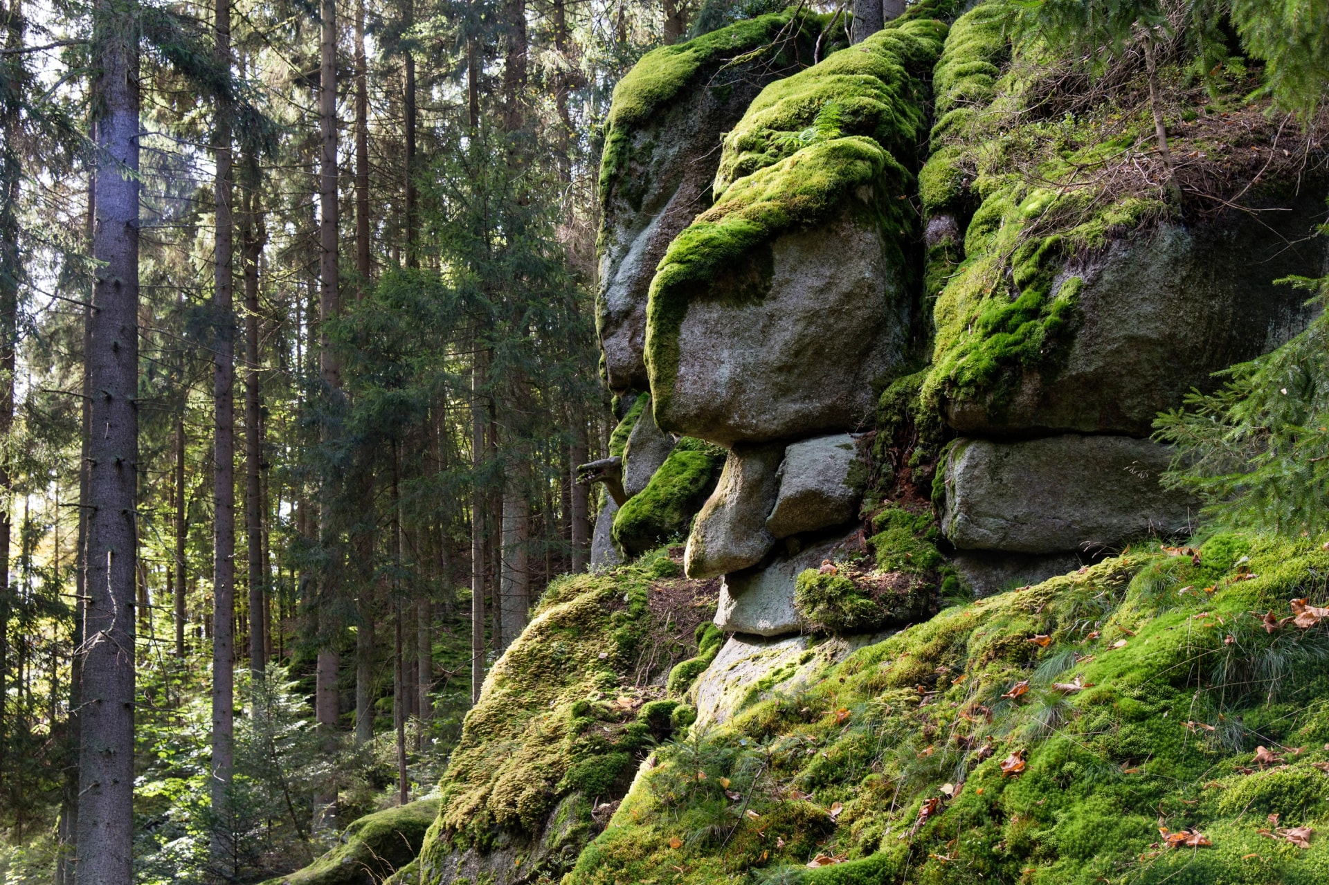 Waldnaabtal Felsgesichter