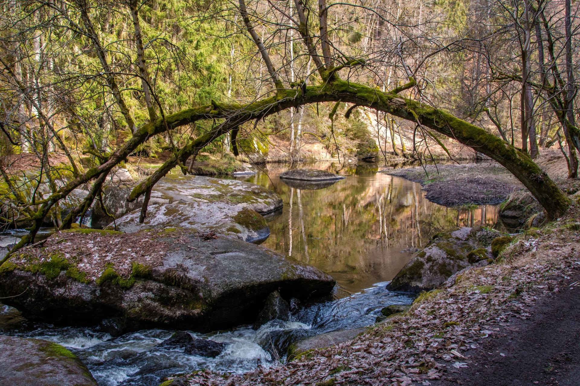 Waldnaabtal