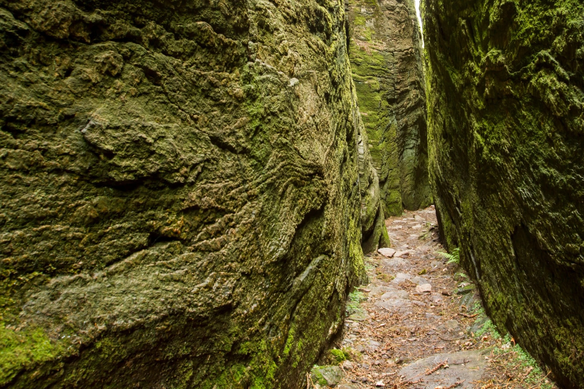 Green canyon in Kungsbacka, Sweden