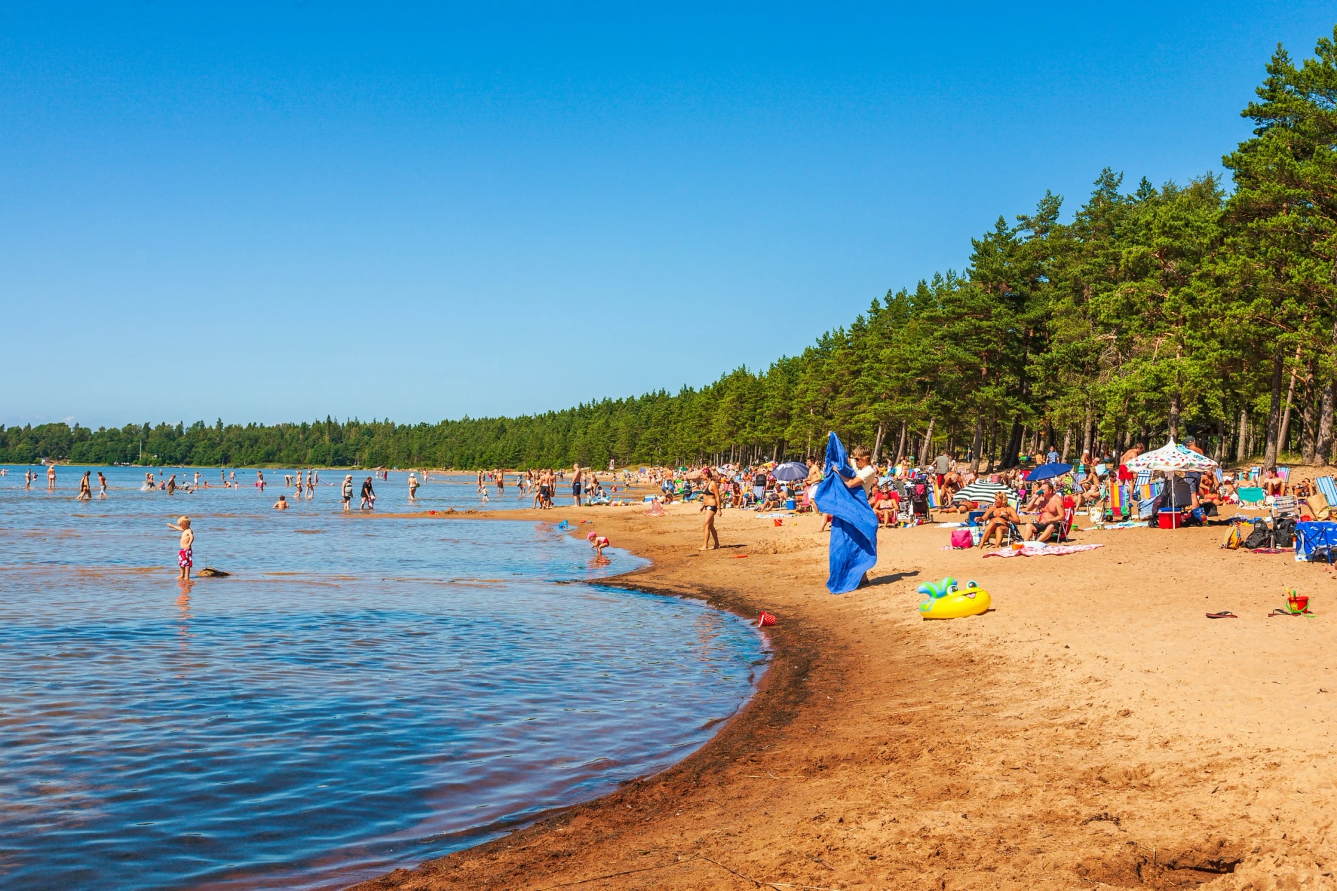 Beach by a forest with lots of people
