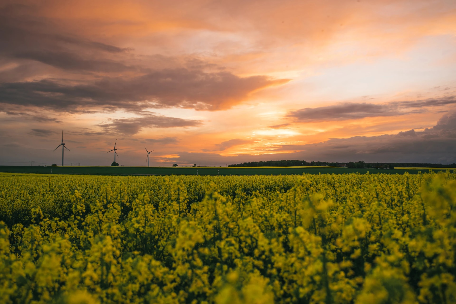 Sunset in the south of Sweden (Kristianstad)