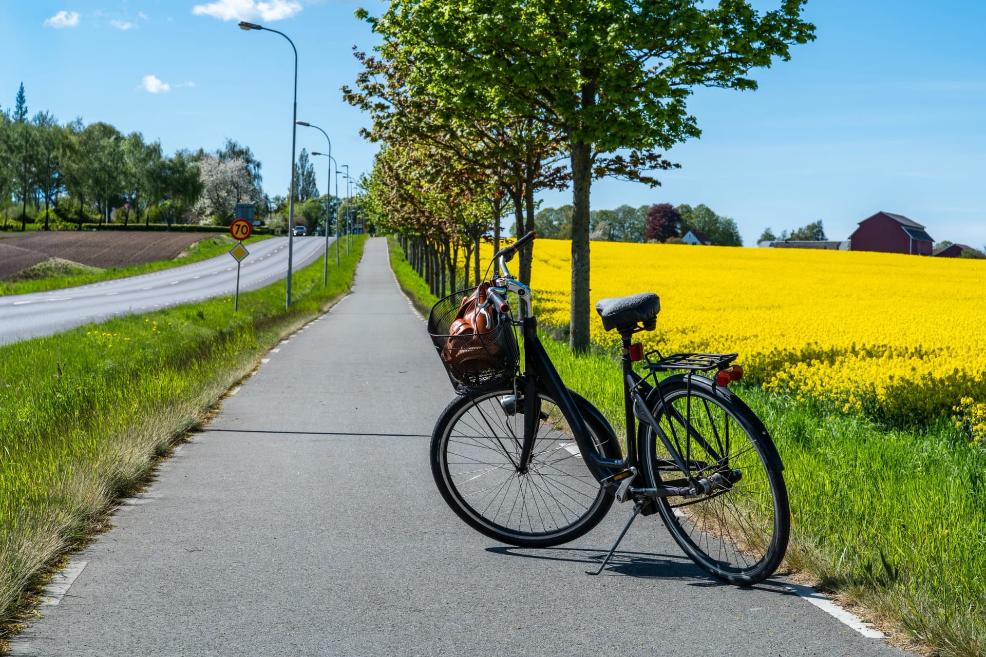 Bicycle parked on a quiet country bike path beside blooming rapeseed fields in rural Sweden. Scandinavian spring landscape symbolizing sustainable transport, active lifestyle and countryside travel