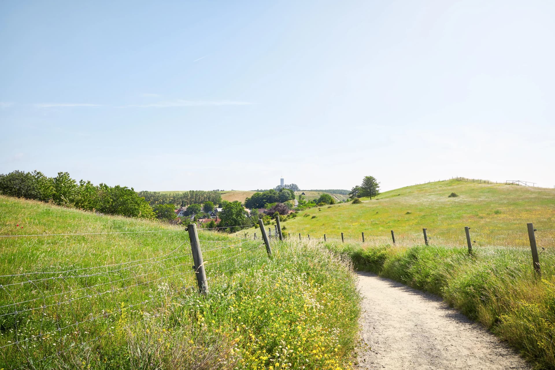 Walkway through green nature in village of Kaseberga in south Sweden.