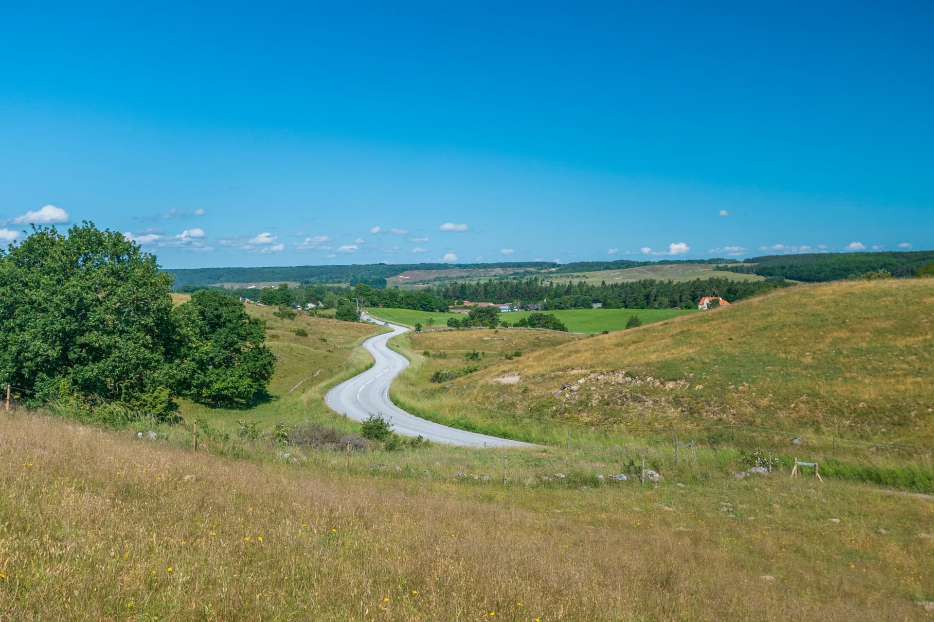 View of a road at the hilly landscape Brösarps Backar located south east Sweden
