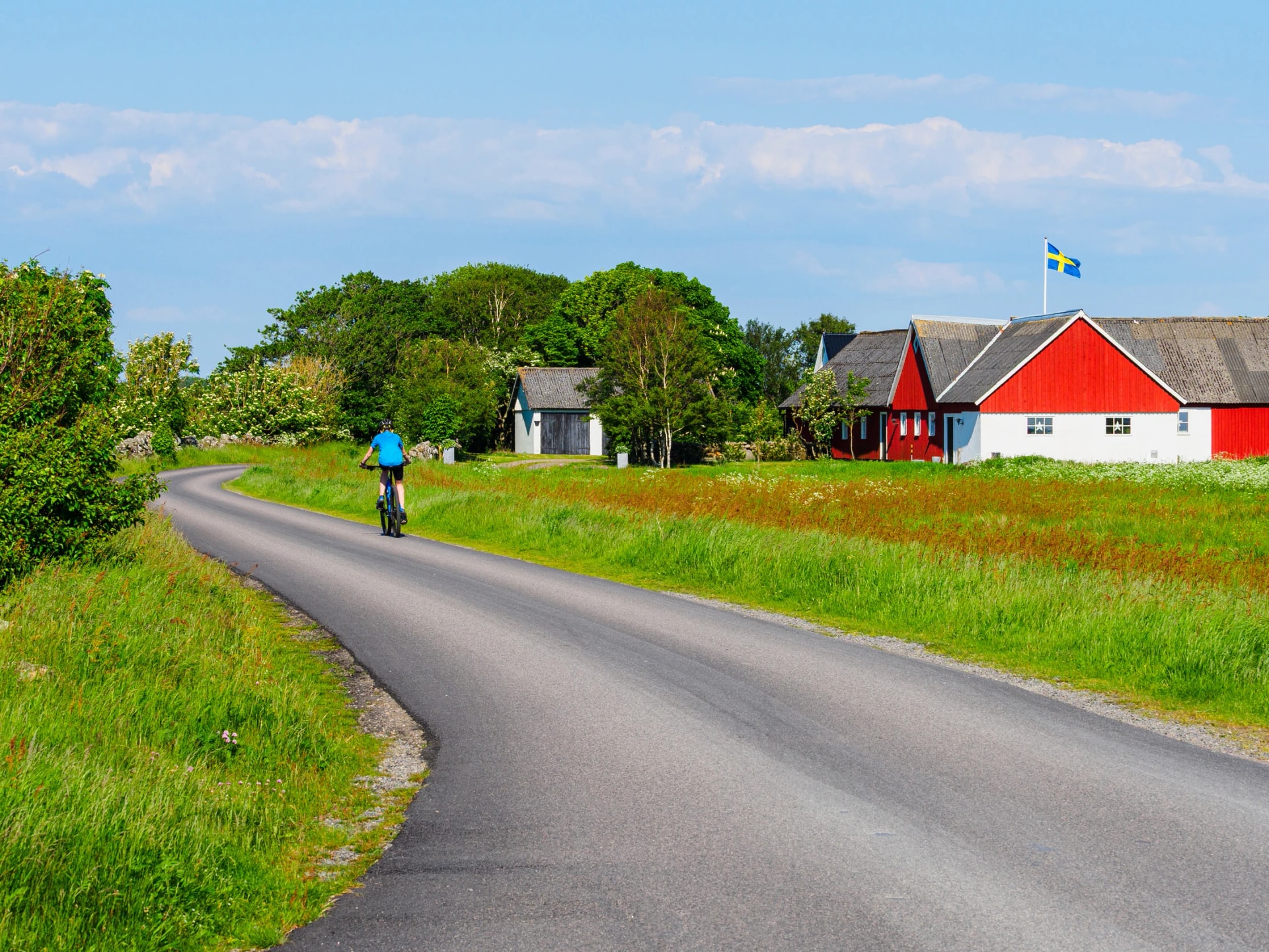Boy enjoys biking on a summer day near a farm building in Sweden, surrounded by green fields and a clear blue sky